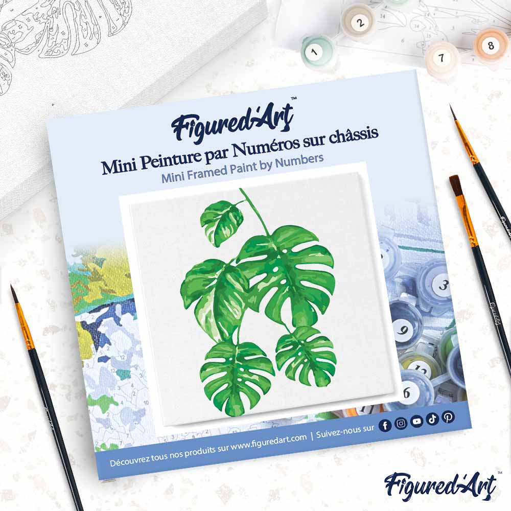 Mini Paint by numbers Monstera Leaves 20x20cm already framed - Image 4