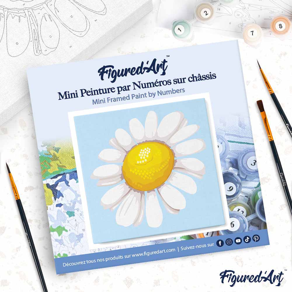 Mini Paint by numbers Pretty Daisy 20x20cm already framed - Image 4