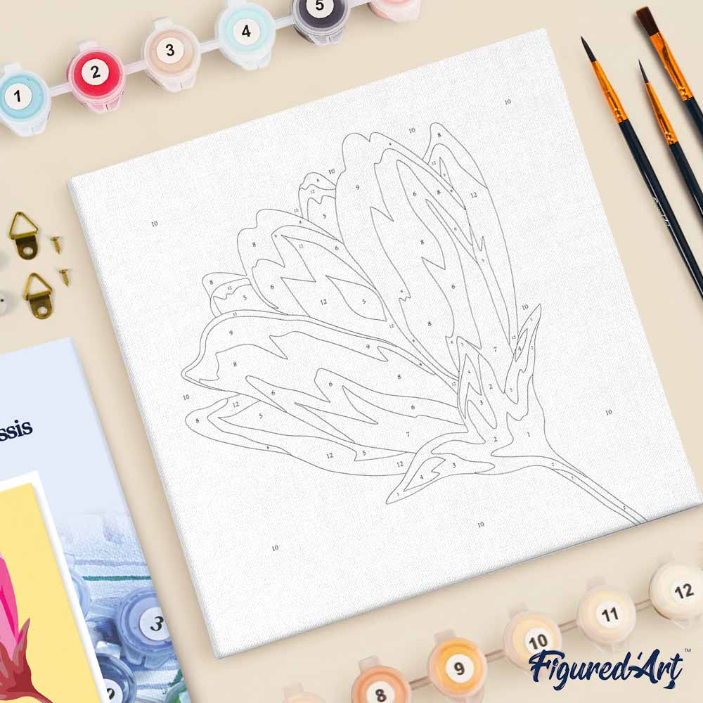 Mini Paint by numbers Pretty Pink Magnolia 20x20cm already framed - Image 5