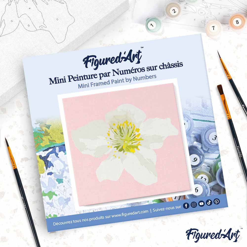 Mini Paint by numbers Pretty White Wild Rose 20x20cm already framed - Image 4