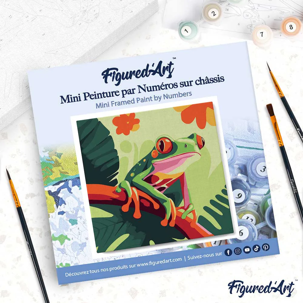 Mini Paint by numbers Tropical Red-Eyed Tree Frog 20x20cm already framed - Image 4