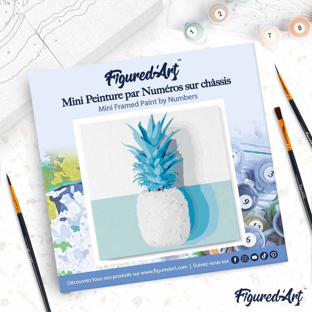 Mini Paint by numbers White Pineapple 20x20cm already framed - Image 4