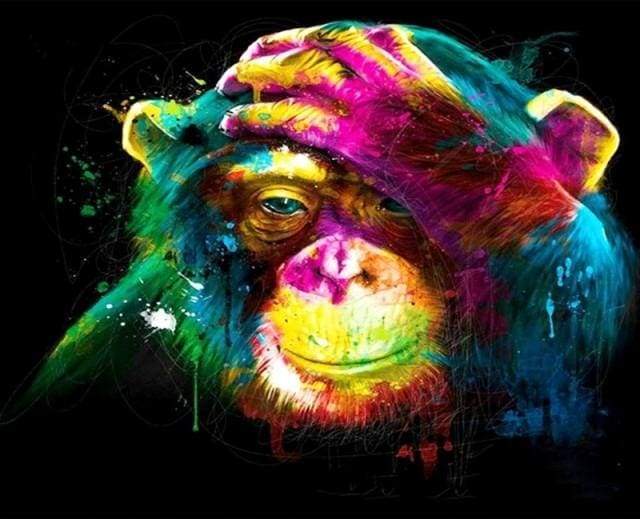 Multicolor Monkey