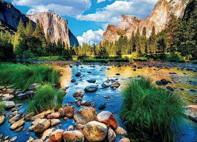 Nature