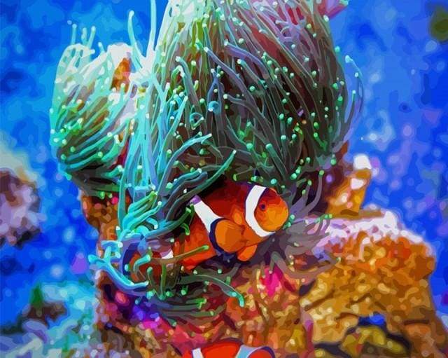 Nemo Fish