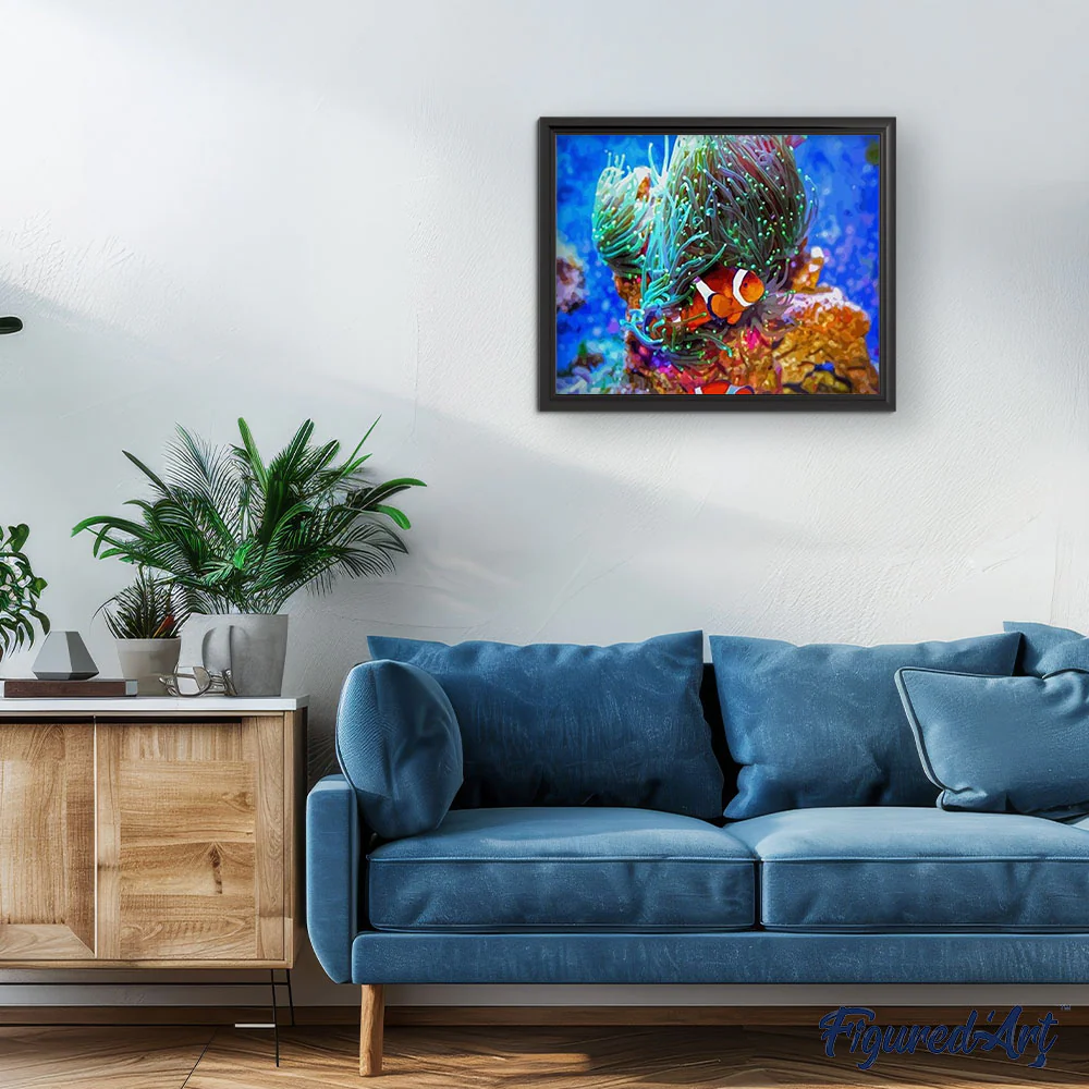 Nemo Fish - Image 3