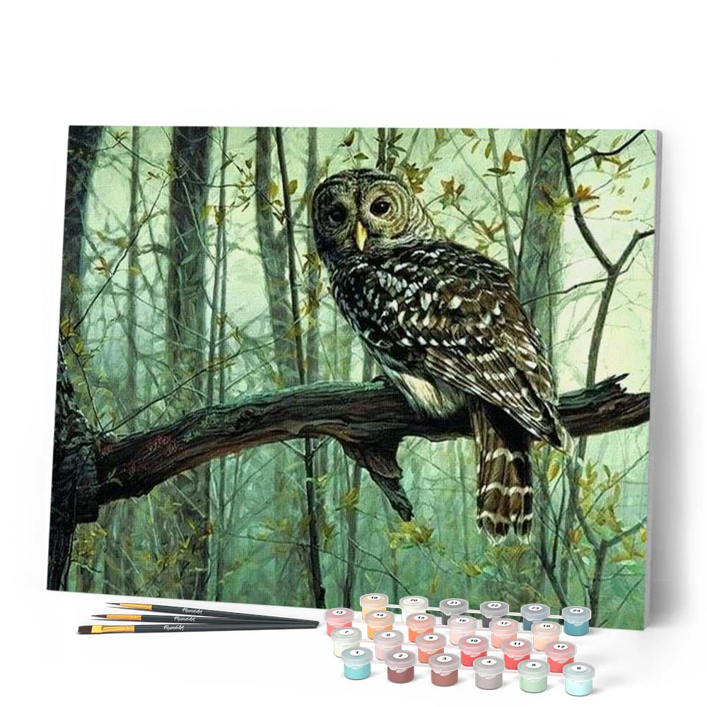 Owl - Image 2
