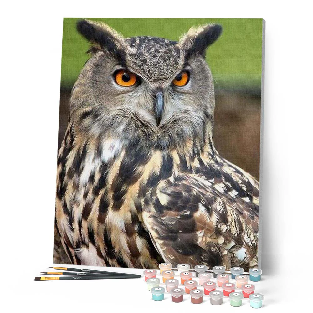 Owl with Orange Eyes Portrait - Image 2