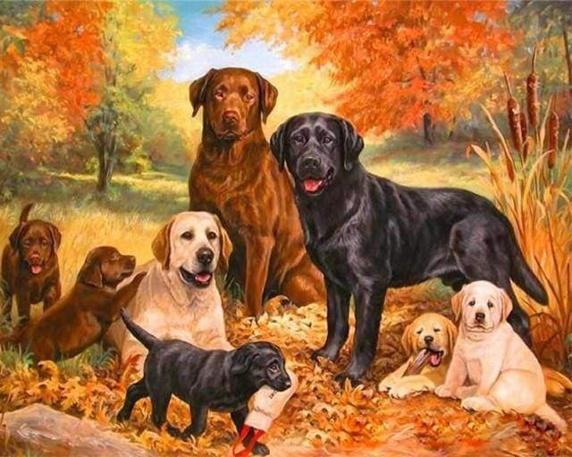 Pack of Dogs