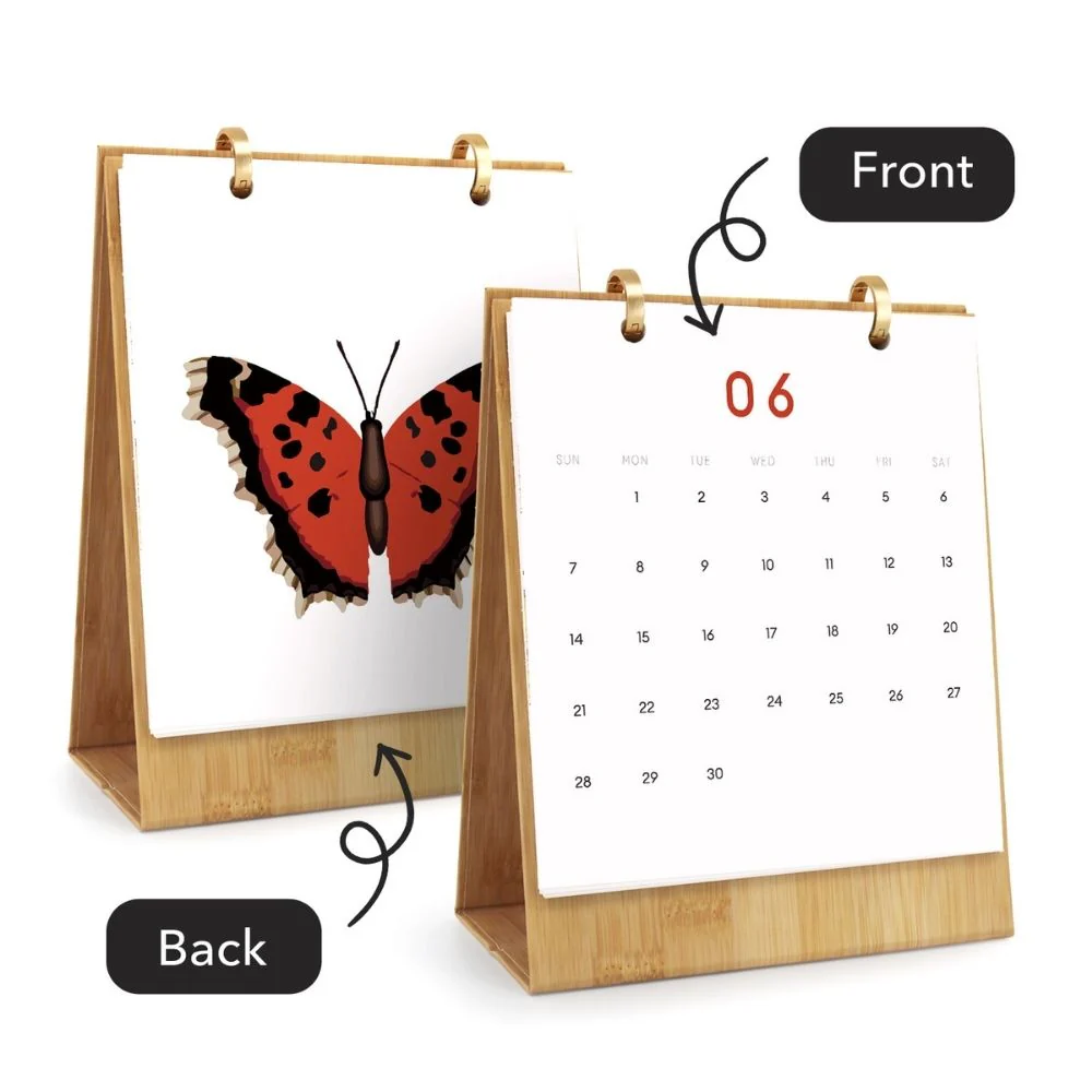 Paint by Numbers Calendar 2026 - Colorful Butterflies - Image 9