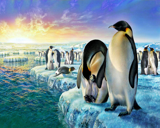Penguins on the ice floe