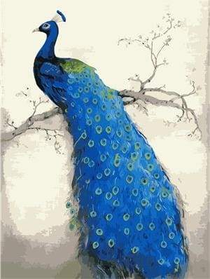 Pretty Peacock