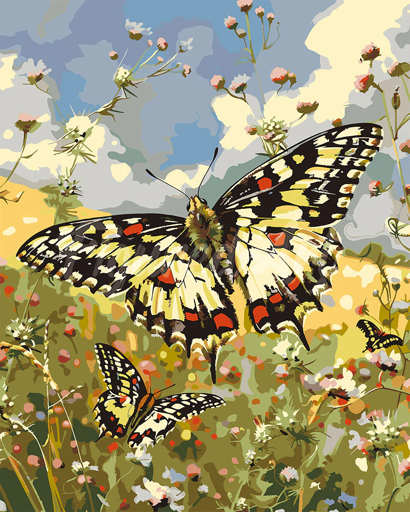 Proserpina Butterfly and Wildflowers