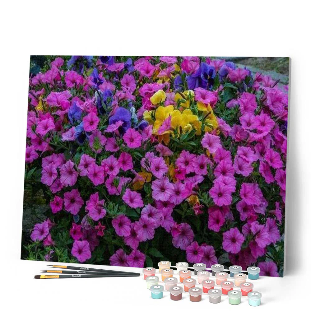 Purple blooming Flowers - Image 2