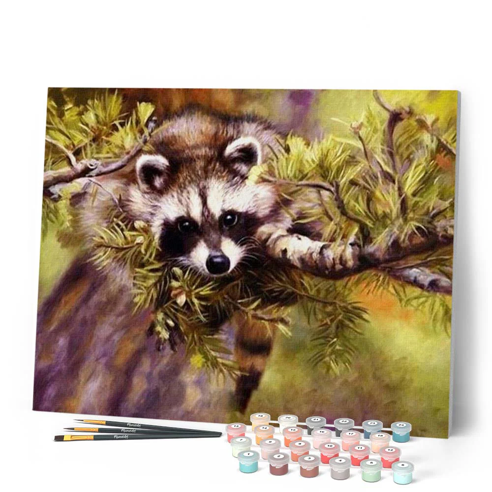 Raccoon - Image 2