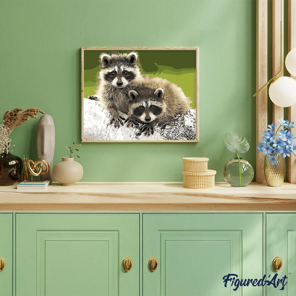 Raccoons - Image 3