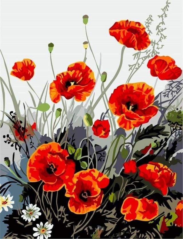 Red Poppy