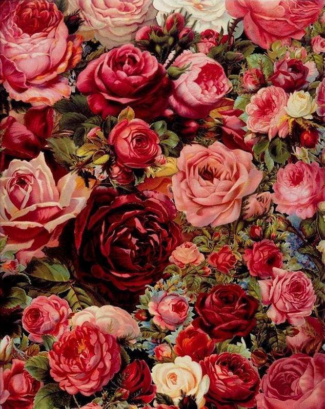 Romantic Red Roses