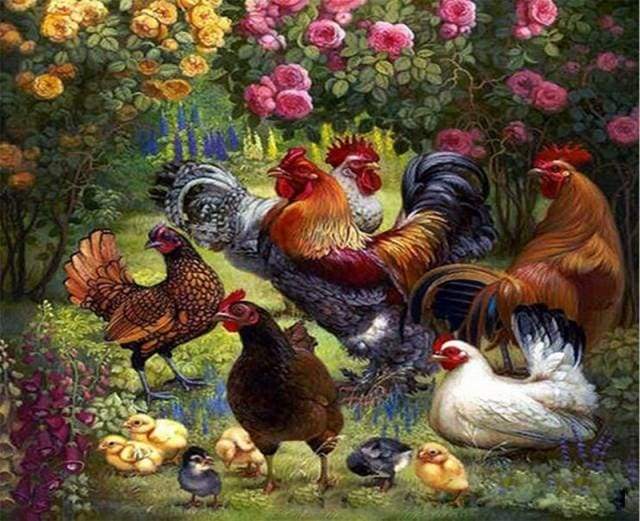 Rooster and Hen