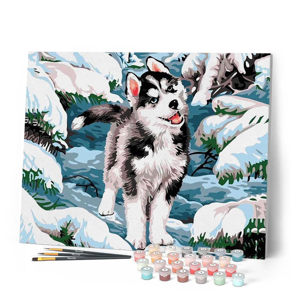 Siberian Husky - Image 2