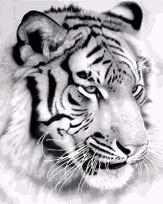 Siberian Tiger