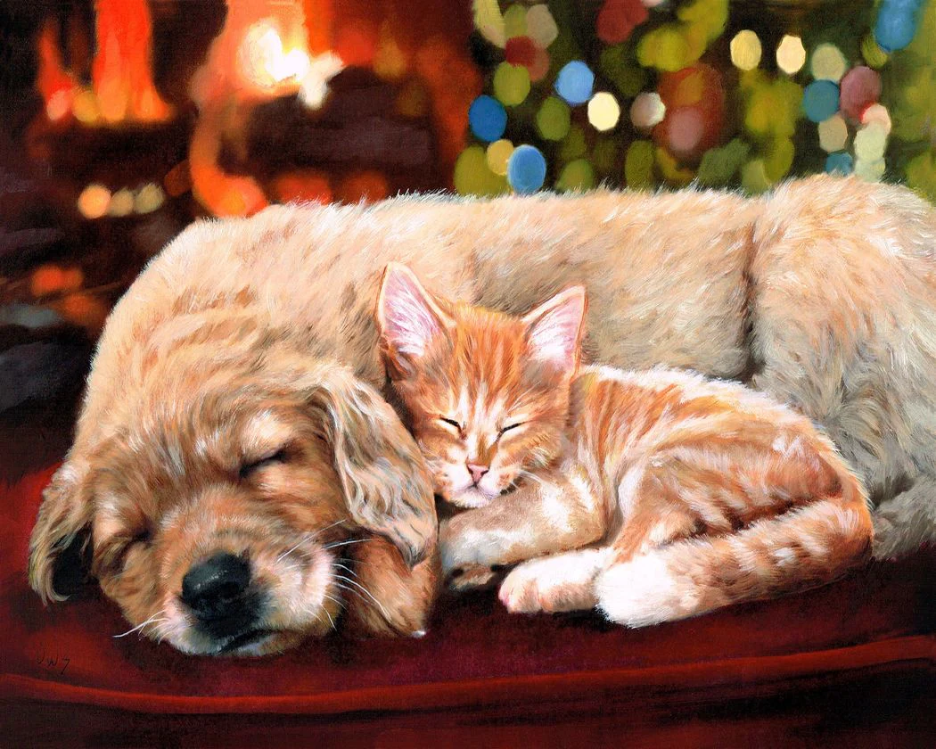 Sleeping Companions