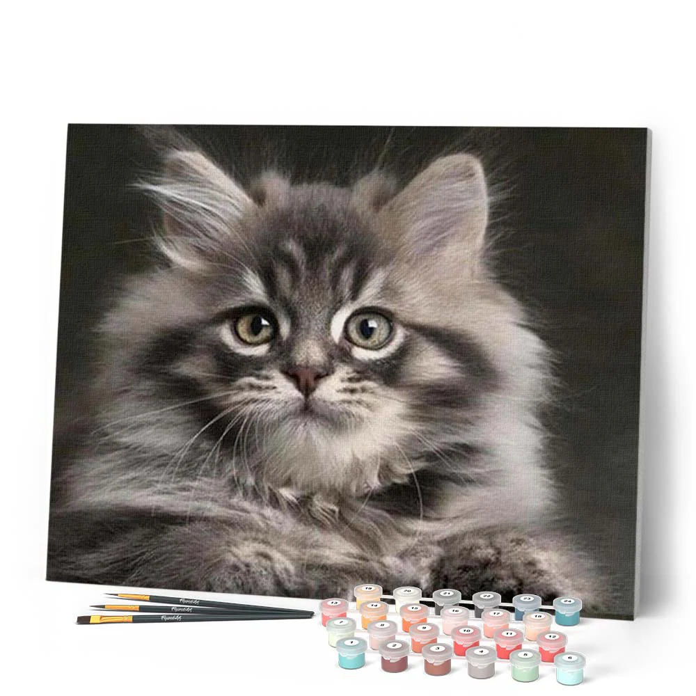 Small Cat - Image 2