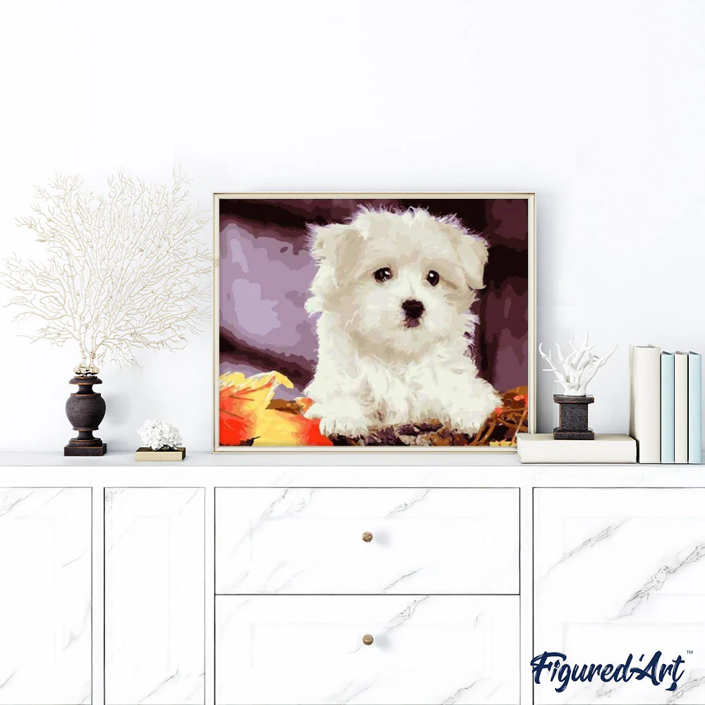 Small white dog - Image 3