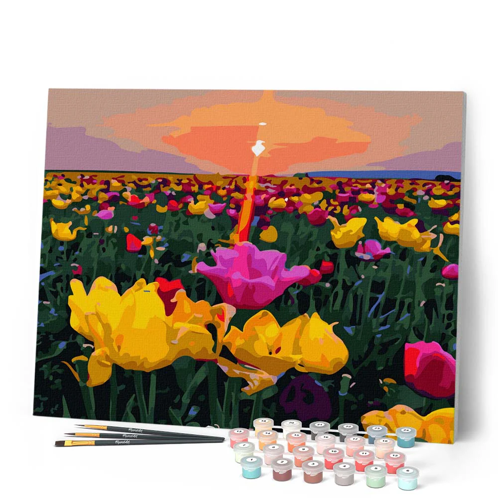 Sunset and flower fields - Image 2
