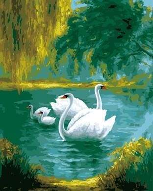 Swans Family