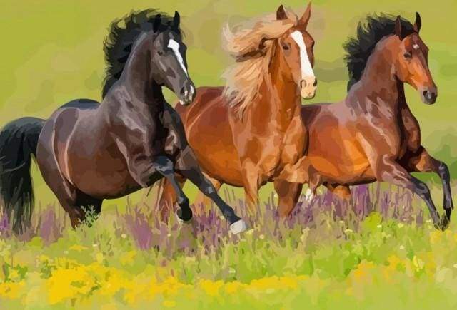 Three Horses gallop