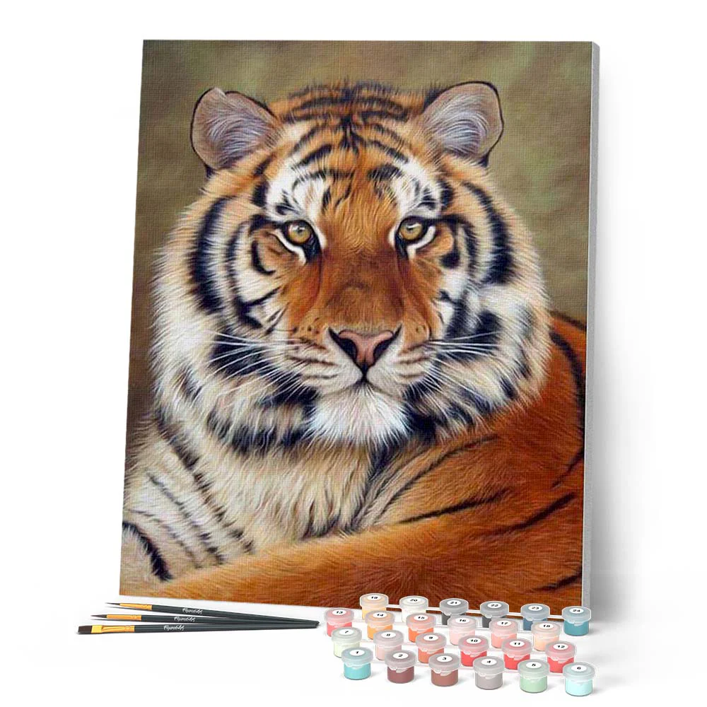 Tiger Look - Image 2