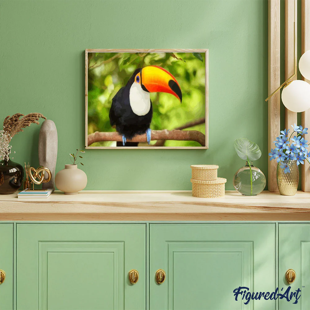 Toucan - Image 3