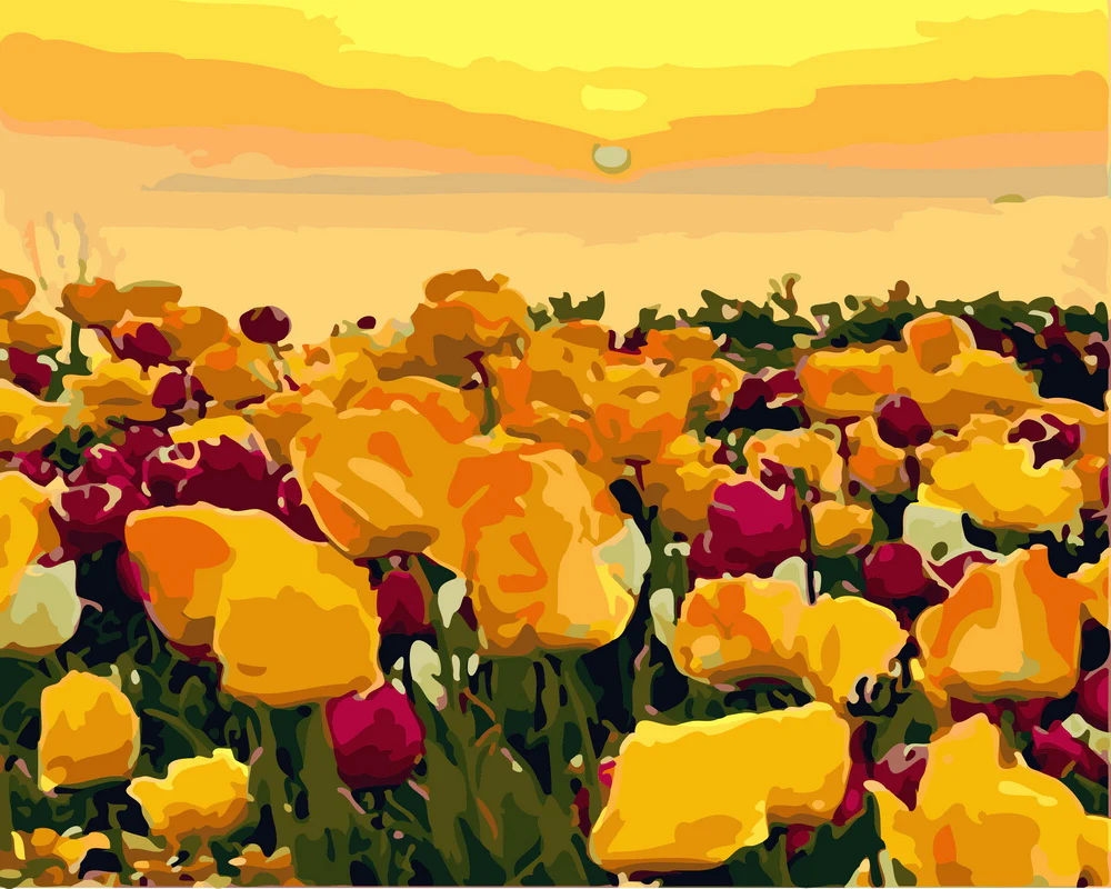 Tulip fields