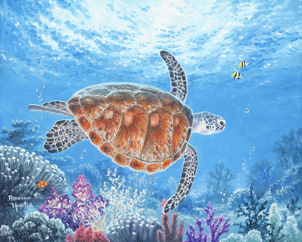 Turtle
