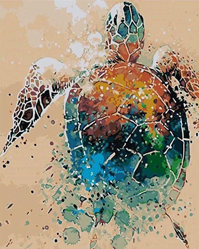 Turtle Design