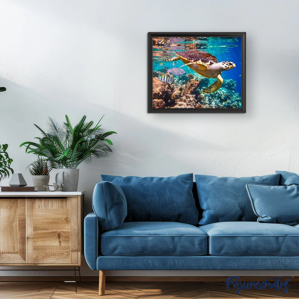 Turtles in your Environment - Image 3