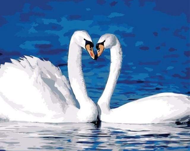 Two Swans