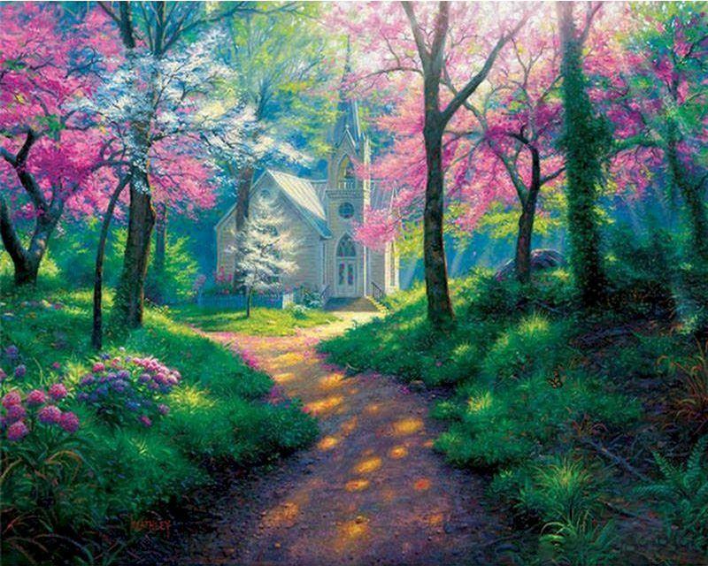 Walkway in the forest