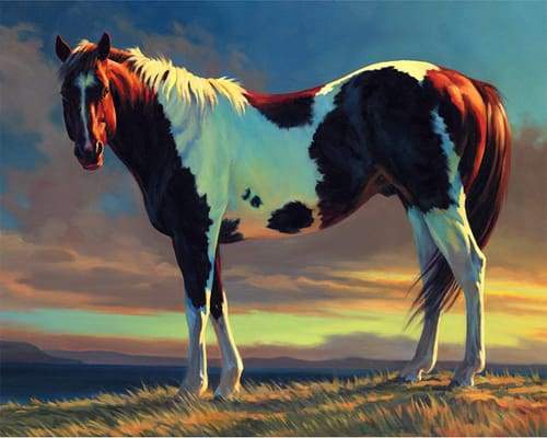 White and Brown Horse